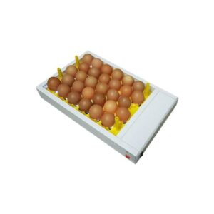 Egg candler for 30 eggs at a time