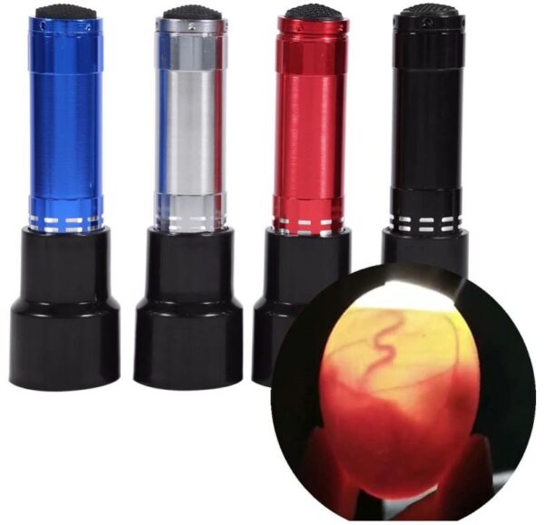 candler for embryo development