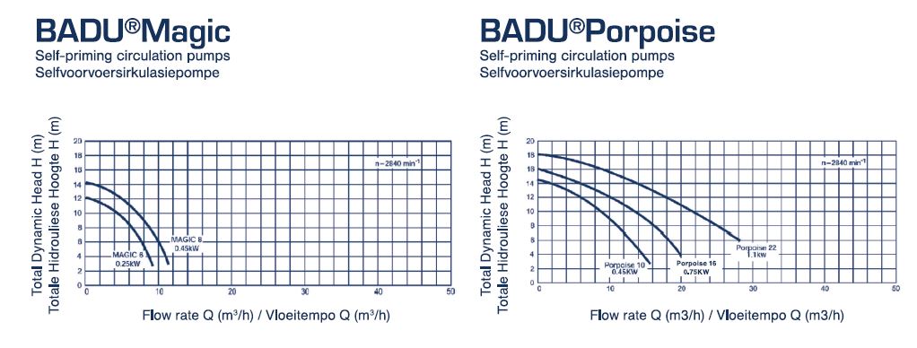 Badu Magic & Badu Porpoise