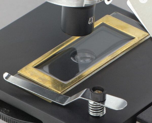 Sedgewick-Rafter Counting chamber