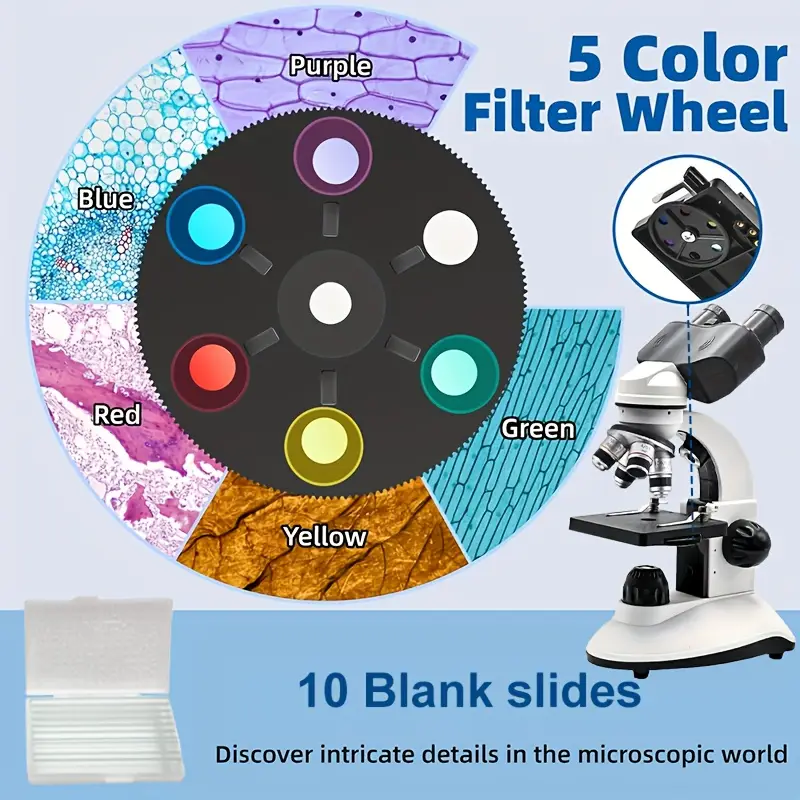 1b64788e-9018-4d2f-ac10-787f953fdabf