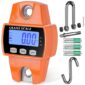YHCS-001 Portable 300kg Hanging Scale