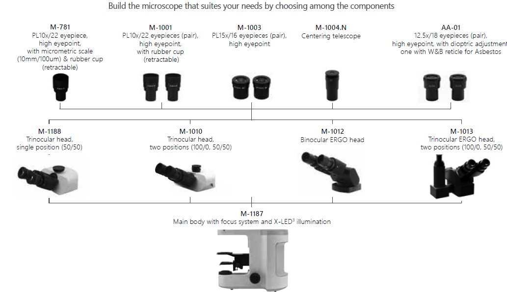 B-810 microscope-1