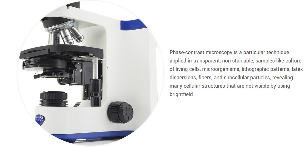 B-810 microscope phase contrast