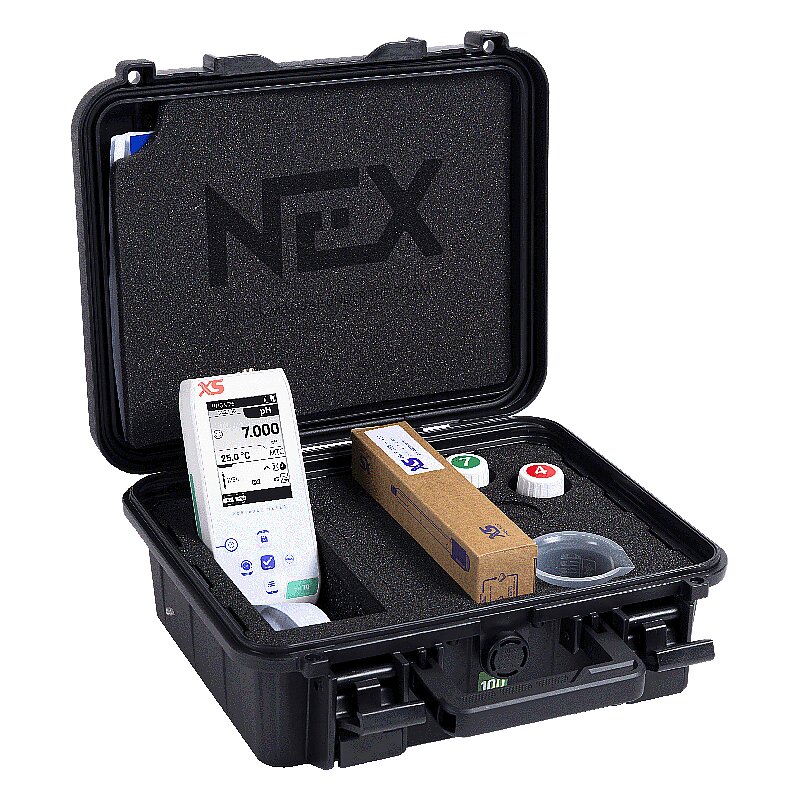 pH 2 NEX Dual Channel Portable pH Meter1